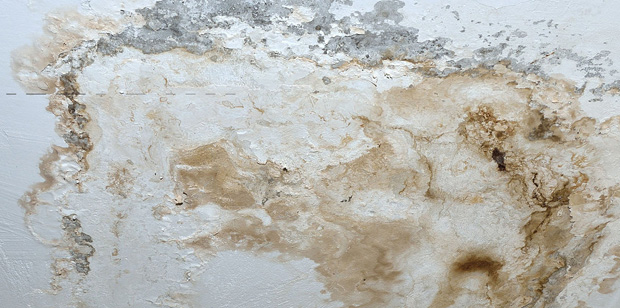 Read more about the article AC’s and mold