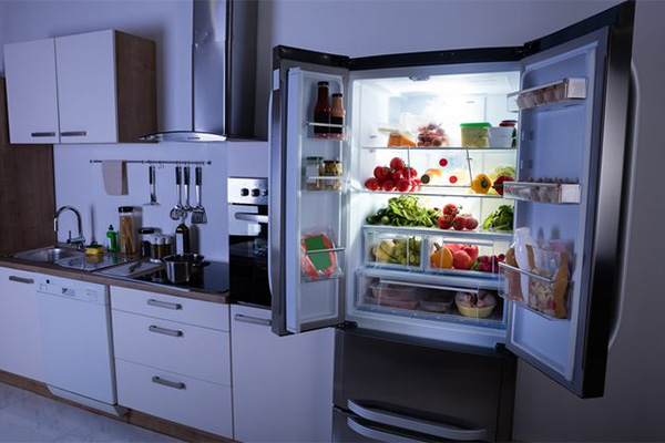 Read more about the article In-home refrigerator repair should always be preferred over delivery